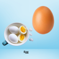 Egg